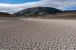 Los Ángeles restringe el riego en medio de sequía en más de la mitad de EEUU