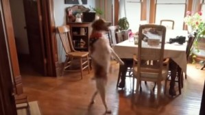 La historia de Dexter, el perro de Colorado que solo camina como un ser humano (VIDEO)
