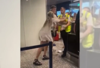 ¡Fatal! Pareja golpeó a guardias de seguridad por no dejarlos abordar un avión (VIDEO)