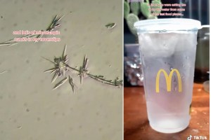 No creerás lo que esconde el agua de McDonald’s bajo un microscopio (VIDEO)