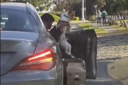VIRAL: Lo pillaron abandonando a su perro en la carretera y empiezan una persecución para increparle (VIDEO)