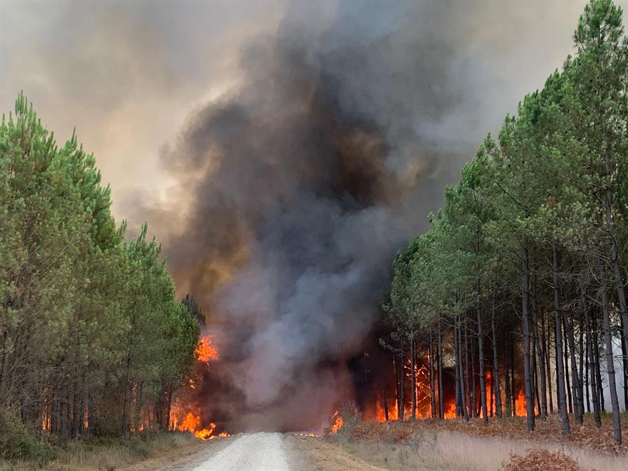 Una oleada de incendios arrasa miles de hectáreas en Francia