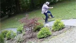 EN VIDEO: Mujer es atacada por un zorro con rabia en EEUU y se desata una espectacular pelea