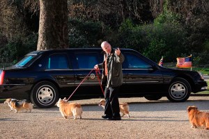 Los famosos perros corgis de Isabel II han sido adoptados por el príncipe Andrés