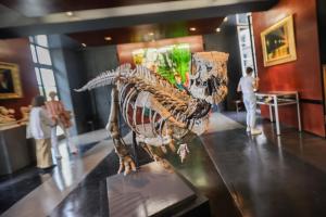 Se subasta en París un dinosaurio de 150 millones de años muy bien conservado