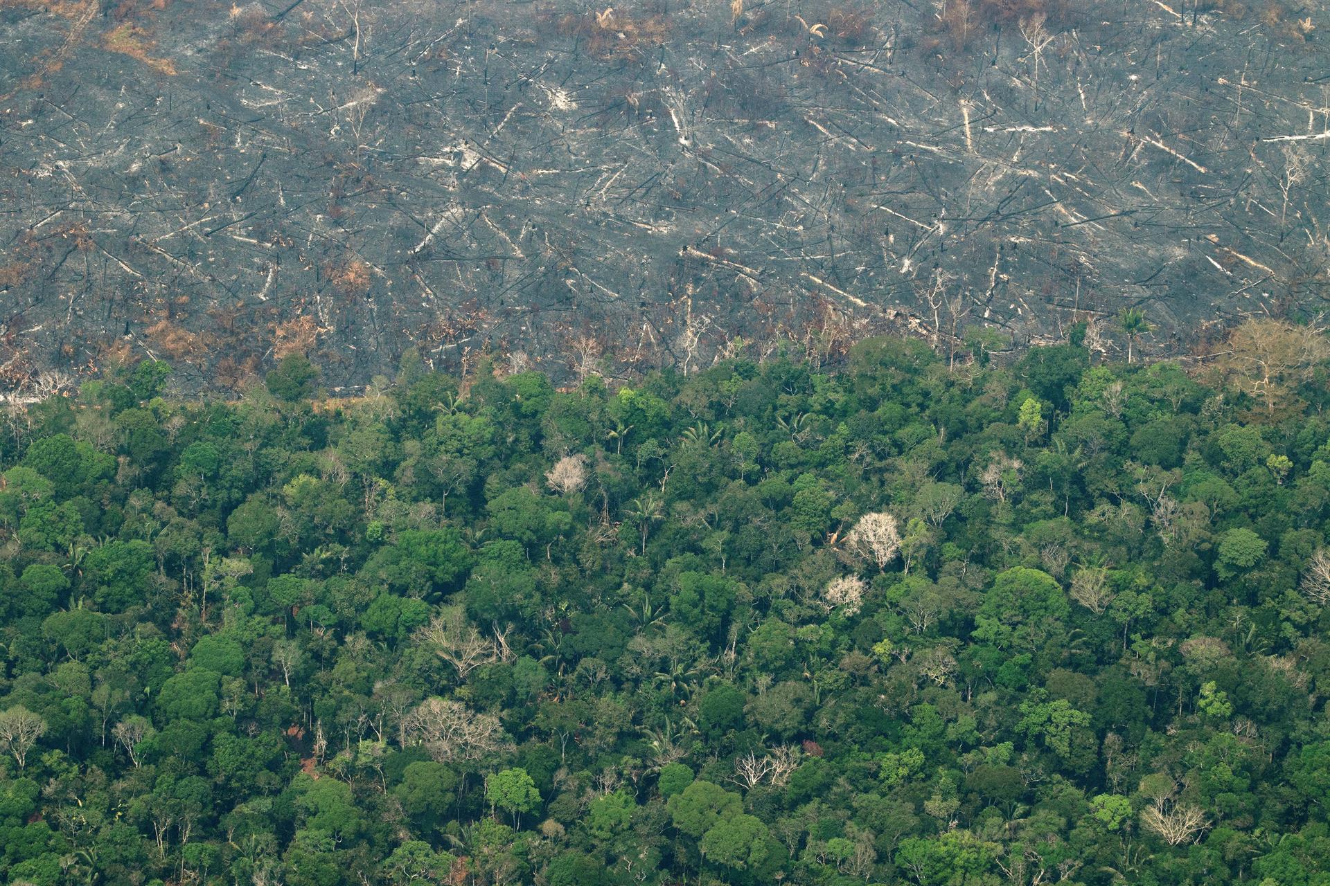 Lula anunció que retomará la protección ambiental de la Amazonía