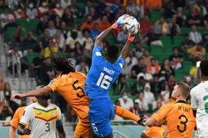 ¡Insólito! Hinchas ingresaron al partido de Senegal contra Países Bajos… ¡sin entradas! (Video)