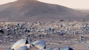 Hallazgo crucial en Marte pone en evidencia la presencia de compuestos orgánicos en el planeta rojo