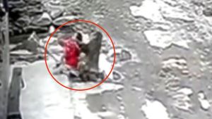 VIDEO impactante: Mono atacó y trató de secuestrar a niña de tres años en China