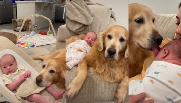 Como un hermano mayor: VIDEO de un perro cuidando a un bebé en EEUU enternece a las redes
