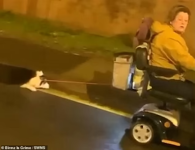 Imágenes sensibles: Aberrada arrastró por las calles a un perrito atado a una scooter