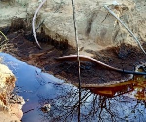 Derrame de crudo afecta morichales y fincas del sur de Anzoátegui