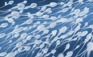 Prueban un anticonceptivo masculino que bloquea el paso del esperma