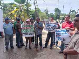 Cañicultores de Cumanacoa en Sucre están cansados de mentiras: “Queremos ya nuestro pago” (VIDEO)