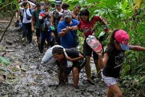 Más de 539 mil migrantes, en su mayoría venezolanos, cruzaron el Darién en 2023, según Migración Colombia