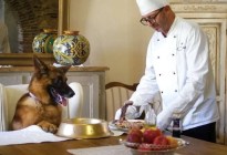 Vive en una mansión, tiene chef privado y viaja en limusina: la historia de Gunther, el perro más rico del mundo
