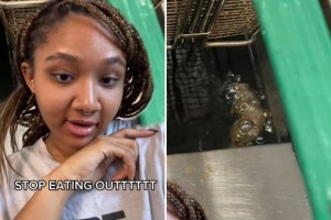 Imágenes inquietantes: Empleada de cadena de comida rápida en Nueva York halló una rata en la freidora