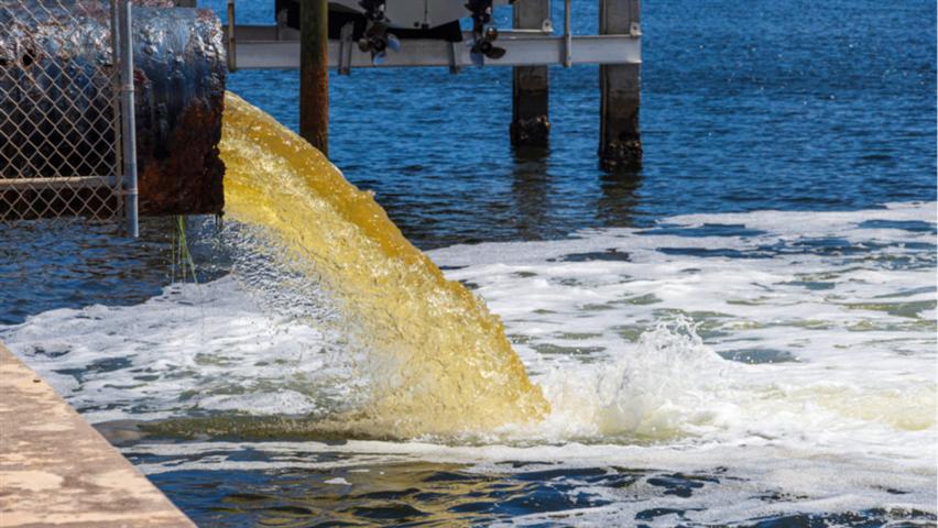 Comer un pescado de río en EEUU equivale a beber agua contaminada durante un mes, según estudio