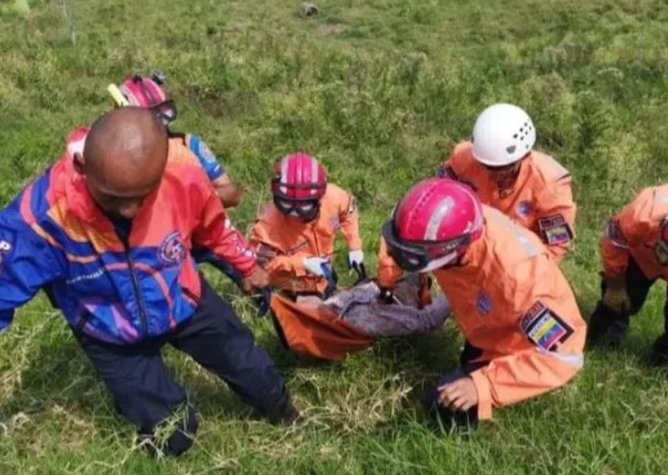 Adulto mayor falleció durante ataque de abejas en Táchira