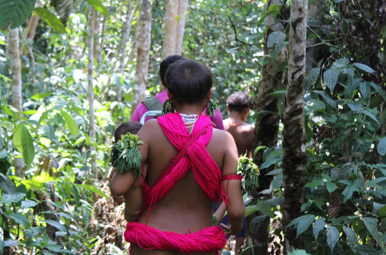 Decenas de niñas yanomami en Brasil quedaron embarazadas tras ser violadas por mineros ilegales