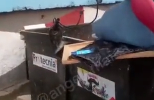 VIDEO: Hallaron un feto dentro de contenedor de basura en Caraballeda