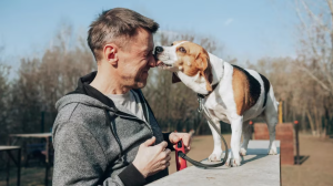 Día Mundial del Perro: cómo y por qué se convirtió en el mejor amigo del humano