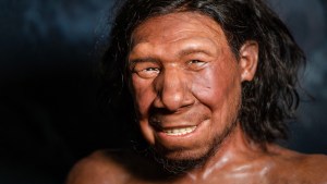 Los humanos modernos necesitaron tres intentos y unos 12 mil años para colonizar Europa, según estudio