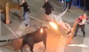 VIDEO de impacto: Toro embistió brutalmente a un hombre que le estaba prendiendo fuego a sus cuernos