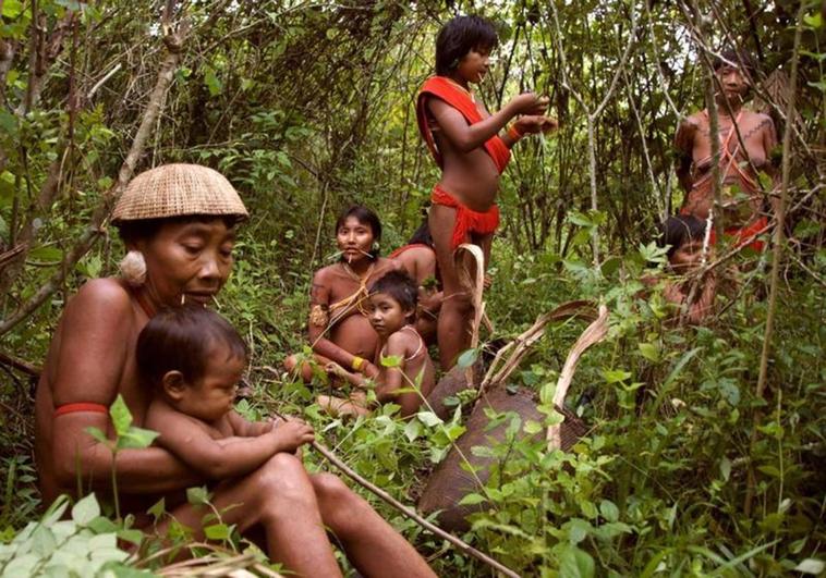 “Científicos, zoólogos y médicos”: así son los yanomami, una tribu amenazada que vive en Brasil y Venezuela