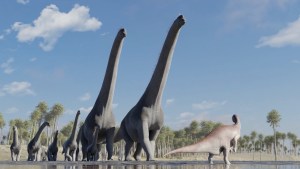 Descubren una “guardería de dinosaurios” de hace 150 millones de años