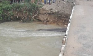 Crecida del rio Onia obligó a suspensión del paso provisional entre Mérida y Táchira