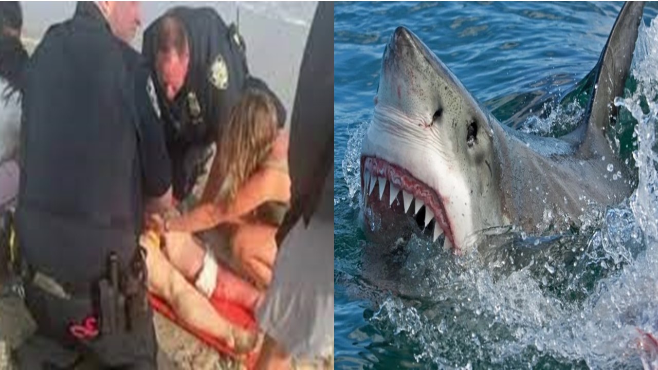 La mujer mordida por un tiburón en una playa de Nueva York recauda 78 mil dólares de ayuda