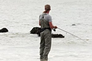 El pez por el que los investigadores le pagan 50 dólares a quien lo capture en Florida
