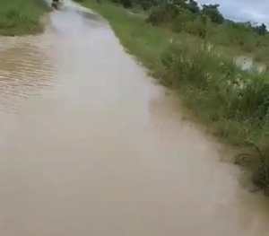Inundadas permanecen vía rural y potreros en La Costa de Santa Inés de Barinas