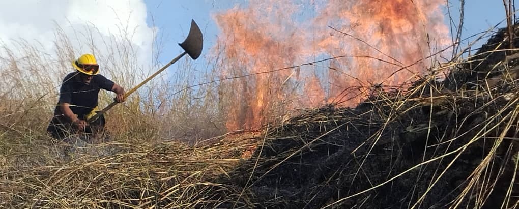 Incendio forestal de “gran magnitud” consumió 250 hectáreas del parque nacional Henri Pittier en Aragua