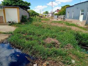 Por falta de mantenimiento colapsa el sistema de aguas negras en Biruaca
