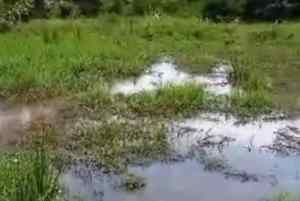 Habitantes de Perro de Agua de Barinas deben atravesar tres kilómetros de barro porque la inundación acabó con la vía