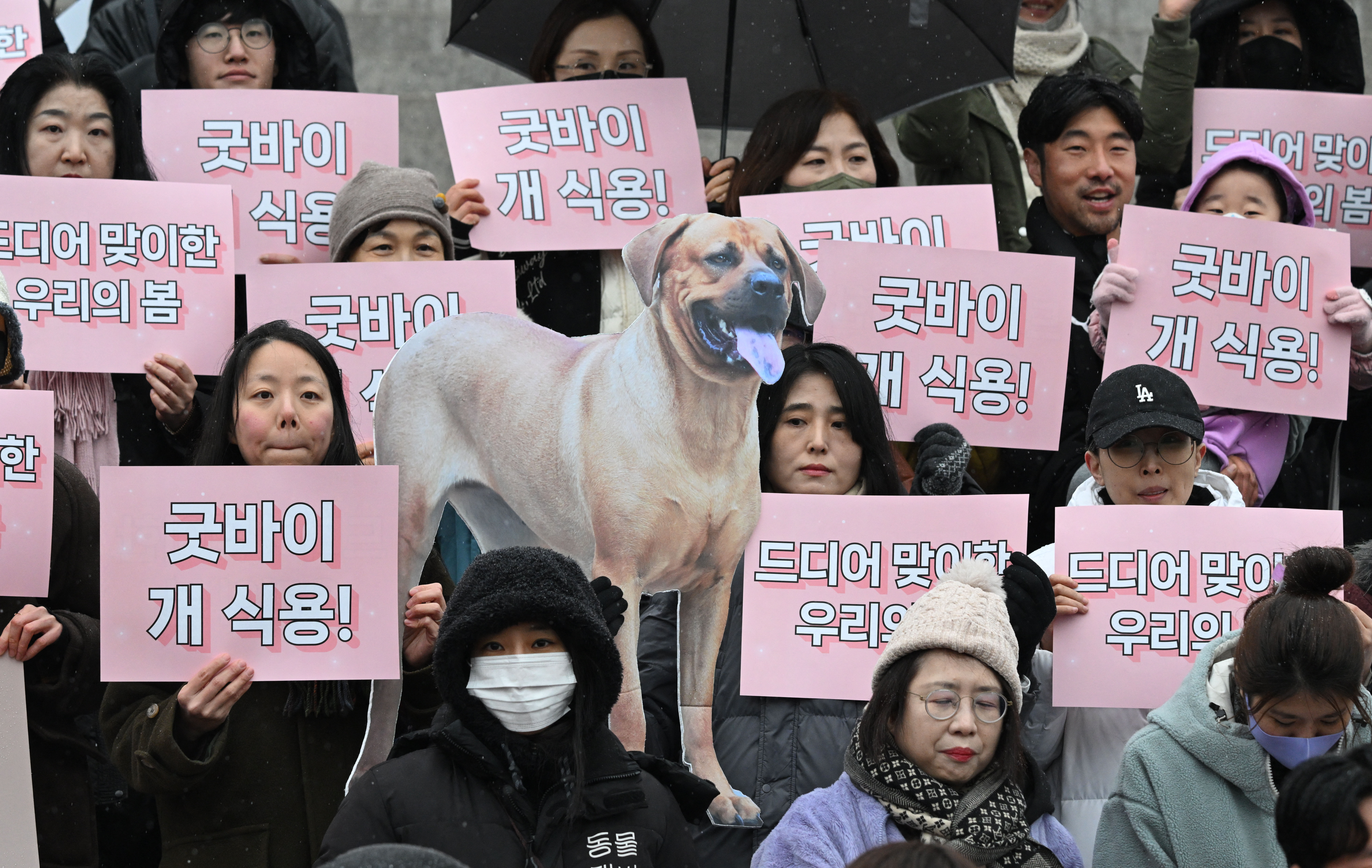 Parlamento de Corea del Sur prohíbe el comercio de carne de perro