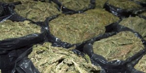 Van casi seis toneladas de marihuana incautadas en el suroeste de Colombia en lo que va de 2024