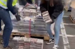 Cae en España una banda acusada de introducir desde Colombia 2,5 toneladas de cocaína