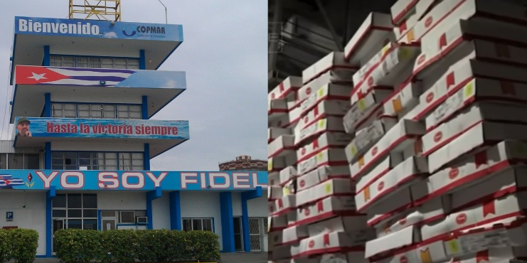 Se robaron más de 130 toneladas de pollo en una empresa del régimen mientras Cuba pasa hambre