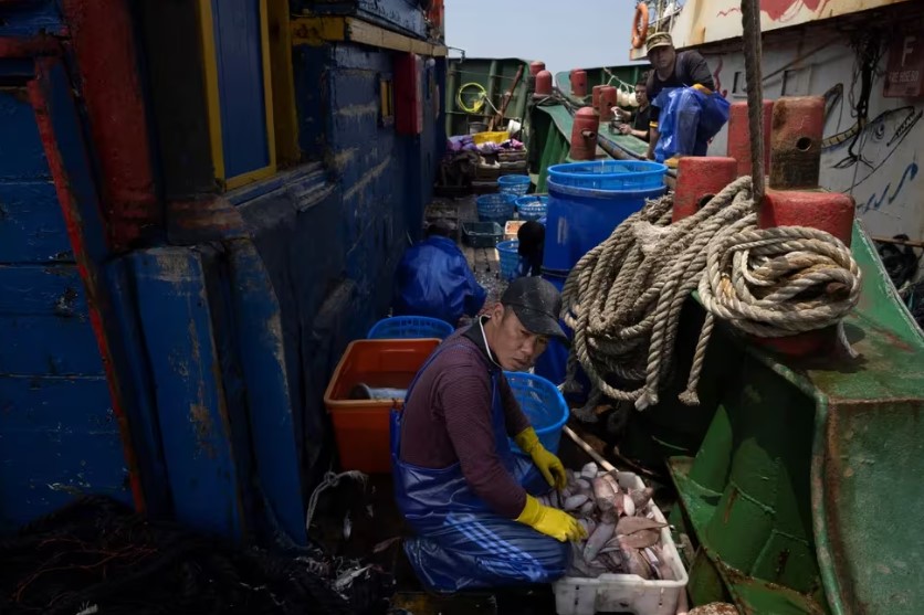 La trama que expone cómo los norcoreanos son utilizados como esclavos modernos en las plantas de procesamiento de pescado de China