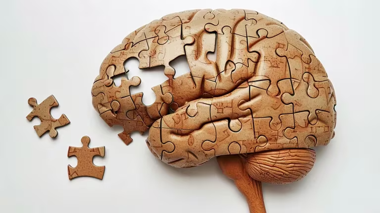 Un estudio revela nuevos factores de vulnerabilidad y resiliencia al Alzheimer