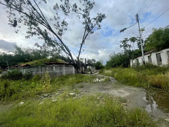 Venezuela’s Lake Valencia, a “threat” that gives no respite to surrounding areas