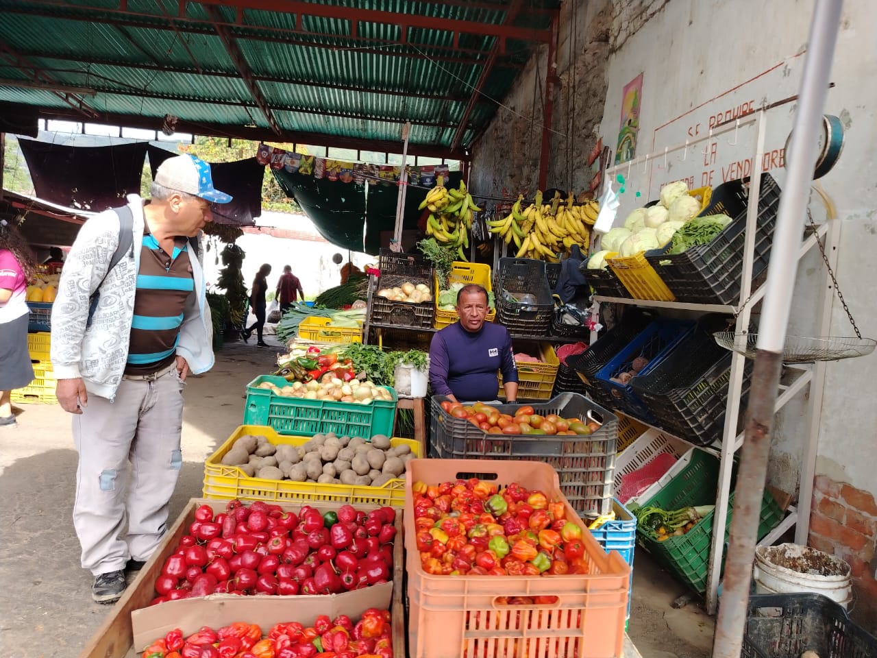 “No alcanza ni para las verduras”: Aguinaldo de merideños se esfuma tras alza del dólar